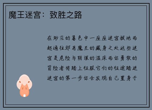 魔王迷宫：致胜之路